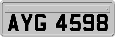 AYG4598
