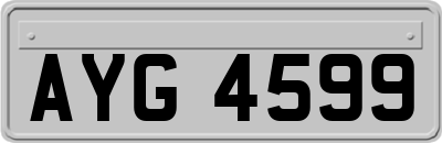 AYG4599
