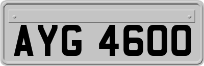 AYG4600