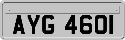 AYG4601