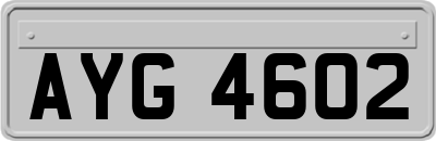 AYG4602