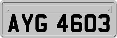 AYG4603