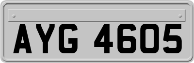 AYG4605