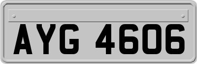AYG4606