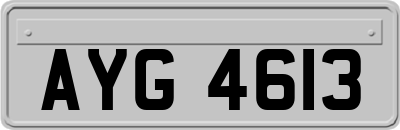 AYG4613
