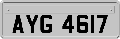 AYG4617