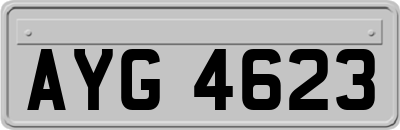 AYG4623
