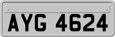 AYG4624