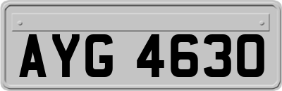 AYG4630