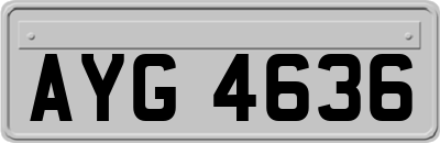 AYG4636