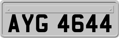 AYG4644