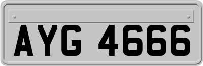AYG4666