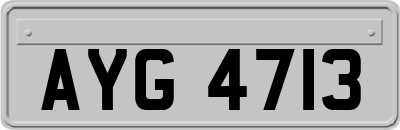 AYG4713