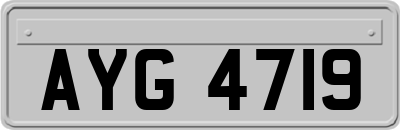 AYG4719