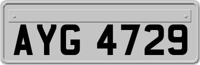 AYG4729
