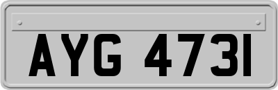 AYG4731