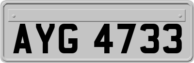 AYG4733