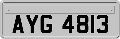 AYG4813