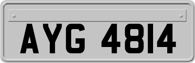 AYG4814