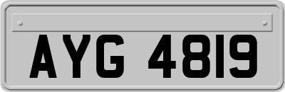 AYG4819