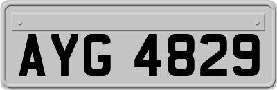 AYG4829