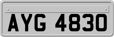 AYG4830