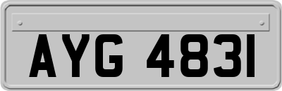 AYG4831