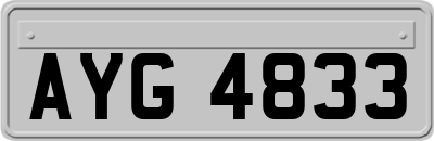 AYG4833