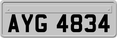AYG4834