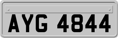 AYG4844
