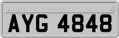 AYG4848