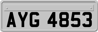 AYG4853