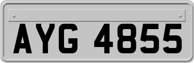 AYG4855