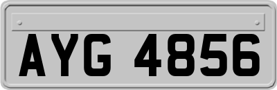 AYG4856