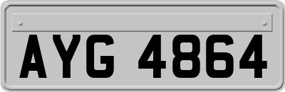 AYG4864