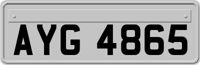 AYG4865