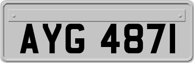 AYG4871