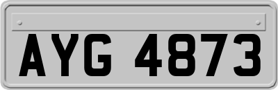AYG4873