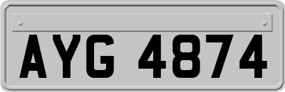 AYG4874