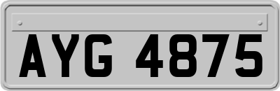 AYG4875