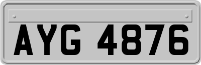 AYG4876
