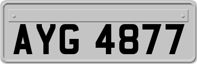 AYG4877