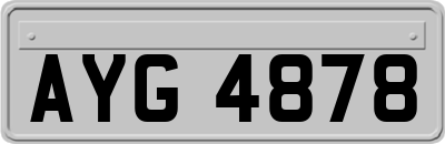 AYG4878