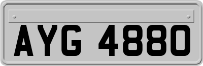 AYG4880
