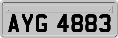 AYG4883