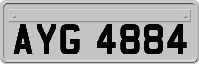 AYG4884
