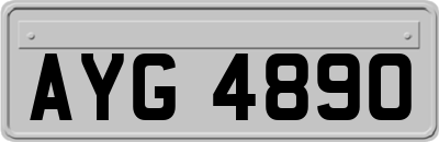 AYG4890