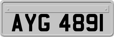 AYG4891