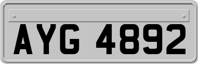 AYG4892
