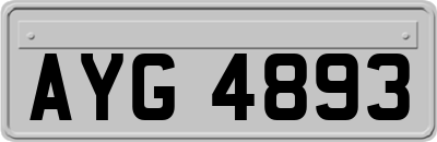 AYG4893